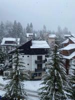 Montana Residence - B&B Poiana Brasov
