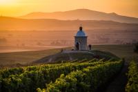 Vinoza - ubytování a vinný sklep Velké Bílovice Rulandová - B&B Velké Bílovice