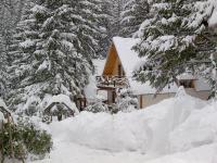 Traveland Boutique Resort Poiana Brasov - Chambres d’hôtes Poiana Brasov