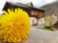 Baita Gen - B&B