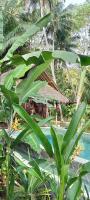 RNV Eco Resort Bungalows - B&B Batukaras