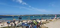 Appartement avec terrasse proche plages et sentiers de randonnée - Ferienwohnung Perros-Guirec