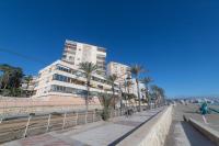 Moonkey - Estudio Las Lanzas - B&B El Campello
