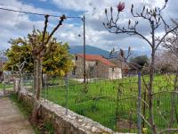 The Stone House-Zacharatos Nikolaos - B&B