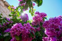 Tweepersoonskamer met Uitzicht op de Tuin