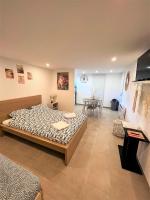 Studio Le Plum'Art, 10mn Zoo de Beauval avec jardin - B&B Noyers-sur-Cher