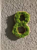 Apartment mit Balkon