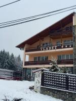 B&B Predeal - Pensiunea Vladet- - Bed and Breakfast Predeal