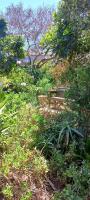 Whispering Gardens - B&B Stilbaai