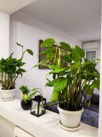 Apartment Tatjana - Ferienwohnung