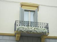 B&B Relais Inn Lucca - B&B Lucca