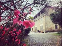 Casa Grande de Fuentemayor - B&B Silleda