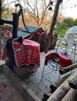 Entre ville & campagne (jardin avec rivière) - Ferienwohnung Plobsheim
