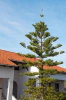 PanoramiKos - B&B Asfendioú