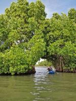 The Munroe Vibes Inn - B&B Munroe Island