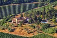 Agriturismo La Valle A Polvereto - B&B