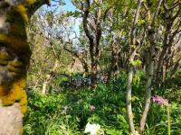 Appartamento con 1 Camera da Letto e Vista Giardino 