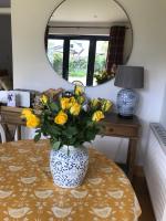 City Central Quiet Garden Apartment with Free Parking - Chambres d’hôtes