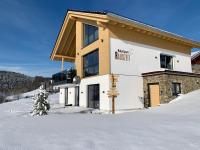 NaturApart RAUSZEIT - Deluxe Apartment des NaturBoutiqueHotel RAUSZEIT - B&B Willingen