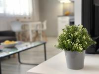 Stein - Bed and Breakfast Bratislava