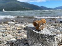 Casa Azalea - Chambres d’hôtes Gravedona