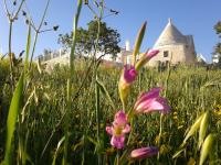 Cappelluzzo - B&B