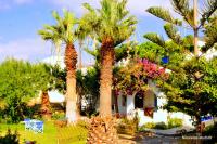Nikoleta's Studios - B&B