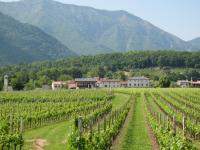 Agriturismo Al Col - Ferienwohnung Follina