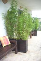 Doppel-/Zweibettzimmer mit Gartenblick