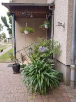 B&B Neuruppin - Ferienwohnung Siebmann - Bed and Breakfast Neuruppin