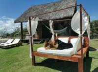 Beach Bungalow-KiteAliCori , Macapa' - B&B Luís Correia