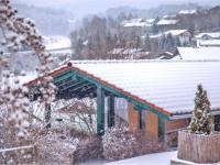 B&B Viechtach - Holiday home with whirlpool and sauna in Viechtach - Bed and Breakfast Viechtach