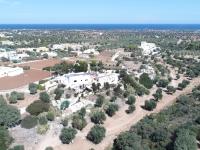 Masseria Pelosella B&B - Chambres d’hôtes