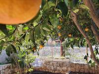 Barbara's Garden Apartment - Bed and Breakfast Dubrovnik