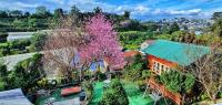 Đèn lồng homestay & coffee - Ferienwohnung Ðà Lạt
