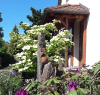 Fremdenzimmer Familie Förster - B&B