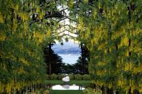 Larnach Lodge & Stable Stay