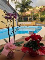 Casa das Palmeiras - B&B Calheta