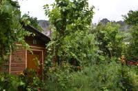 B&B Olympos - mercan pension - Bed and Breakfast Olympos