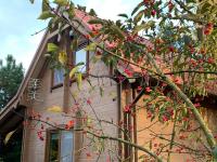 KrzyweProgi - domek na Mazurach nad jeziorem Krzywe - B&B Dłużec