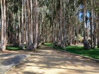 Depto en Costa Algarrobo Norte con wifi - Chambres d’hôtes Algarrobo