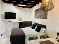 Studio with Terrace