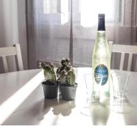 SALAMON GUEST HOUSE - B&B Venecia