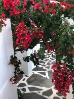 Pontoria Stegna Studios - B&B Archangelos