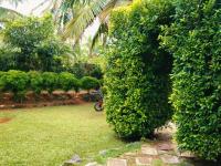 Green Bird - Ferienwohnung Mirissa city