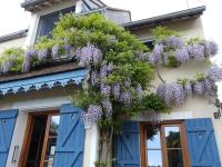 Les Glycines - B&B Ury