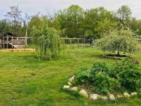 Le Perchoir - Bed and Breakfast