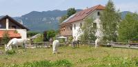 B&B Postojna - Lipizzaner Lodge Guest House - Bed and Breakfast Postojna