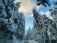 CEDAR LODGE NEXT TO LIFT ONE BEDROOM APARTMENT - B&B Bansko