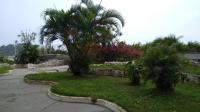 Apartamento de frente a Praia, pé na areia com wi-fi LOFTJM com 01 vaga de garagem sujeita a disponibilidade - B&B
